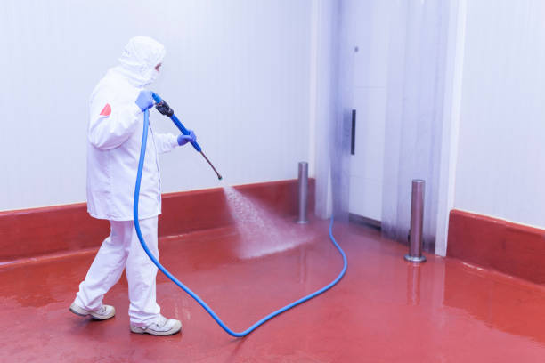 Best Dumpster Area Cleaning  in Coord, NC